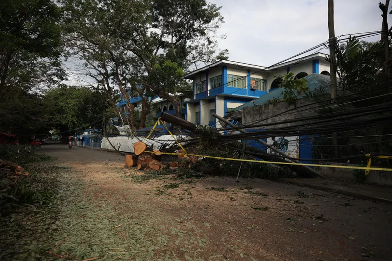 Tree Risk Assessment (TRAQ Methodology)